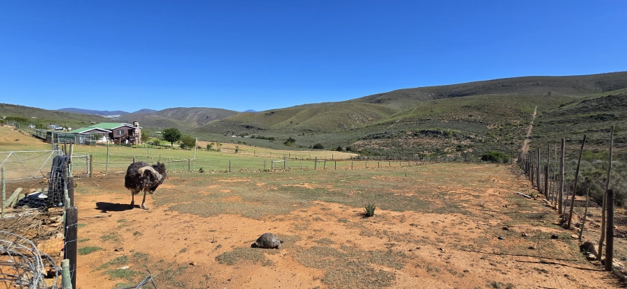 2 Bedroom Property for Sale in Twee Riviere Eastern Cape